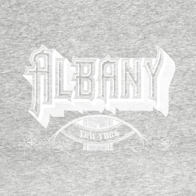 Vintage Albany, NY by DonDota